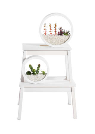 Modern step stool with planters on white backgroundの写真素材
