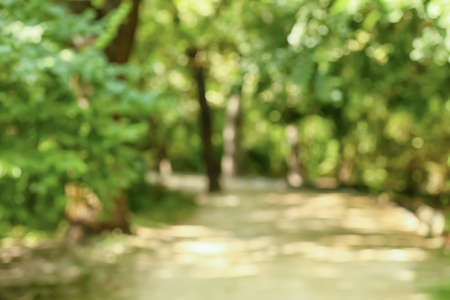 Alley in beautiful green park on summer day, blurred viewの写真素材