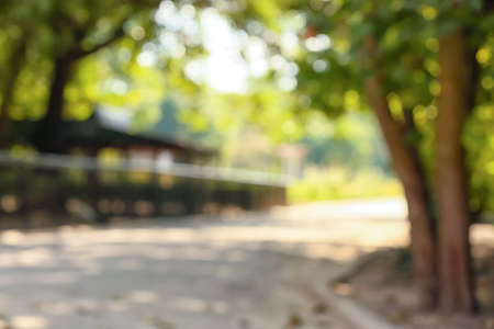 Beautiful green park on summer day, blurred viewの写真素材
