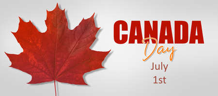 Greeting card with maple leaf for Canada Day