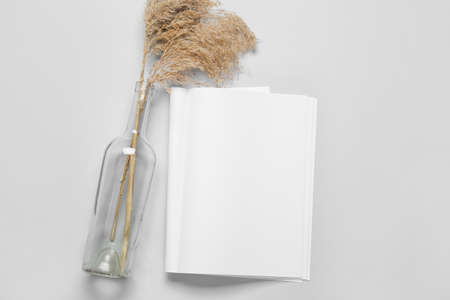Bottle with dry reed and blank magazine on light backgroundの写真素材