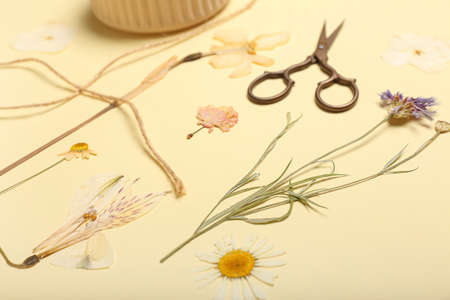 Dried pressed flowers, rope and scissors on beige backgroundの写真素材