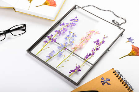 Frame with dried pressed flowers on white background