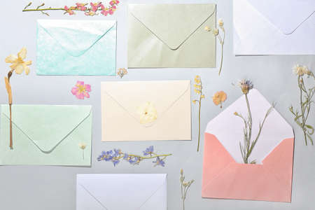 Composition with dried pressed flowers and envelopes on light background