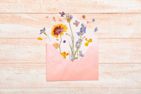 Composition with dried pressed flowers and envelope on white wooden backgroundの写真素材