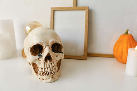 Human skull with frames on shelf near light wall