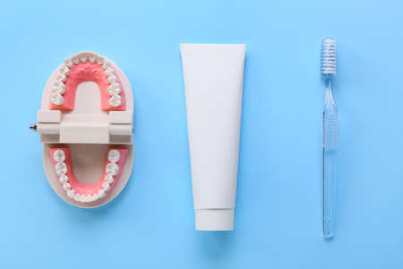 Tube with toothpaste, brush and model of jaw on blue background