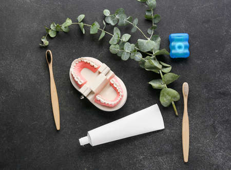 Composition with tooth paste, brushes, dental floss and model of jaw on dark background