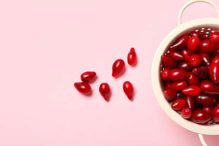 Colander with fresh dogwood berries on color backgroundの写真素材
