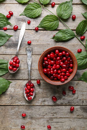 Branches and bowl with fresh dogwood berries on wooden backgroundの写真素材