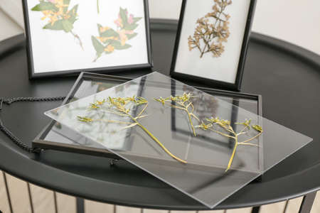Frames with dried pressed flowers on the table in the room