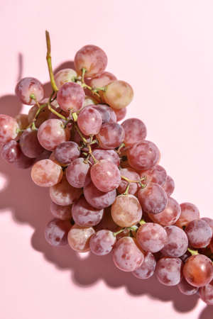 Ripe grapes on color backgroundの写真素材