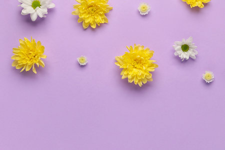 Beautiful flowers on lilac backgroundの写真素材