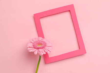 Empty picture frame and gerbera flower on color background