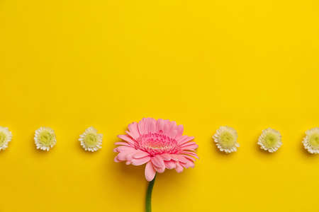 Beautiful flowers on yellow background. concept of uniqueness