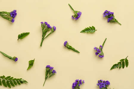 Beautiful flowers and leaves on color background, closeupの写真素材