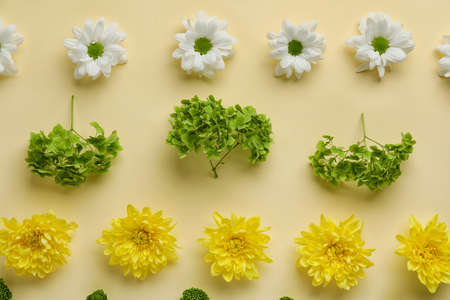 Different flowers on color background, closeupの写真素材