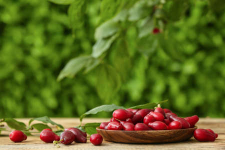 Plate with fresh dogwood berries on table outdoors