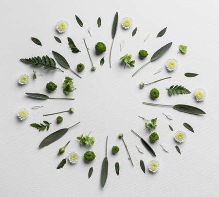 Frame made of different flowers and leaves on white background