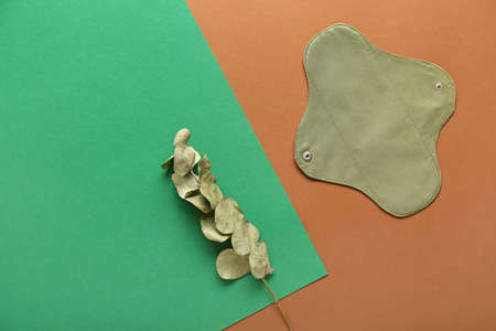 Reusable menstrual pad and eucalyptus on color backgroundの写真素材