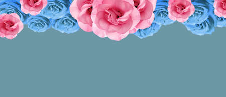 Beautiful flowers on blue background with space for text. banner designの写真素材