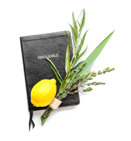 Sukkot festival symbols and Bible on white background