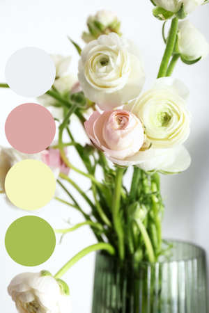 Vase with beautiful ranunculus flowers. different color patterns