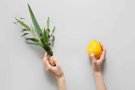 Hands with Sukkot festival symbols on light backgroundの写真素材
