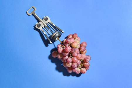 Composition with corkscrew and fresh grapes on blue backgroundの写真素材