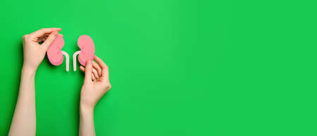 Hands and paper kidneys on green background with space for text