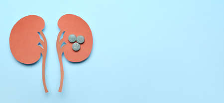 Paper kidneys and pills on light blue background with space for text. Kidney stone disease