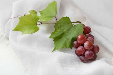 Ripe grapes on light backgroundの写真素材