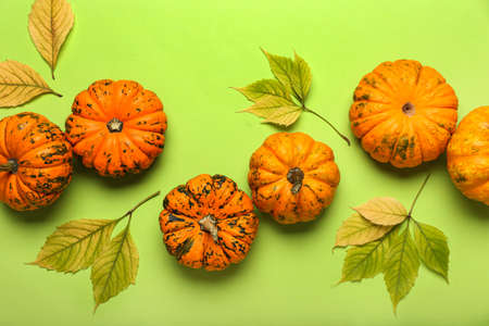 Composition with fresh pumpkins and leaves on color background, closeupの写真素材