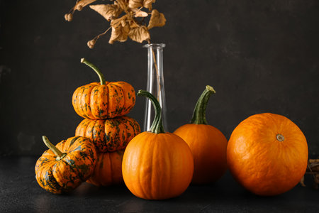Different fresh pumpkins on dark backgroundの写真素材