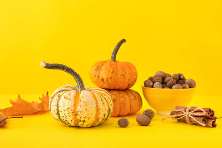 Composition with ripe pumpkins, nutmeg and cinnamon on color backgroundの写真素材