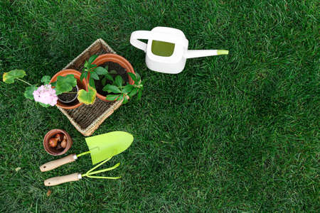 Wicker box with potted plants and gardening tools on green grass outdoorsの写真素材