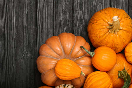 Many ripe pumpkins on dark wooden background, closeup