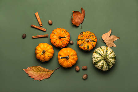 Autumn composition with pumpkins and spices on color backgroundの写真素材