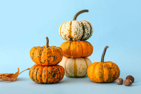 Ripe pumpkins on blue backgroundの写真素材
