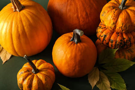 Different pumpkins and autumn leaves on color background, closeupの写真素材