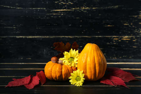 Autumn composition with pumpkins and flowers on dark wooden backgroundの写真素材