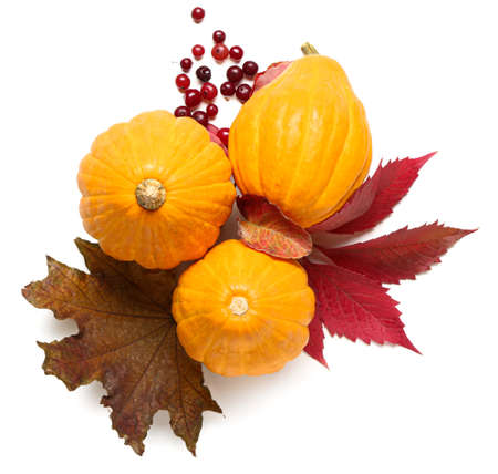 Ripe pumpkins, fallen leaves and berries on white backgroundの写真素材