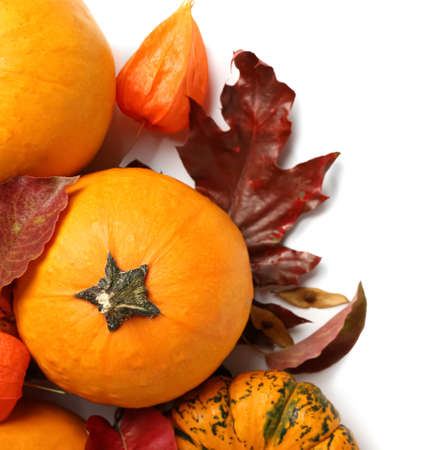 Different pumpkins, physalis and fallen leaves on white backgroundの写真素材