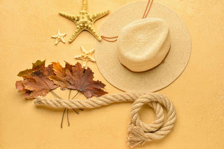 Beach hat, starfishes, rope and autumn leaves on color backgroundの写真素材
