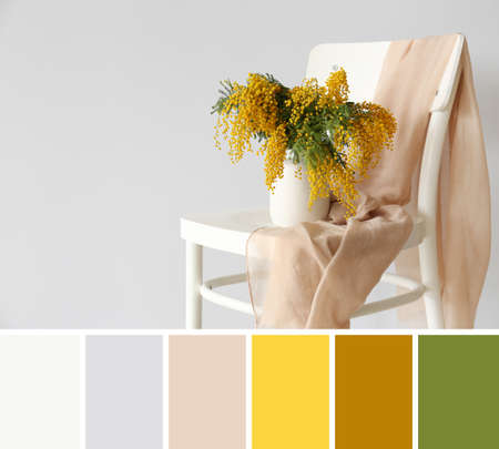 Vase with bouquet of mimosa flowers on chair against light background. Different color patternsの写真素材