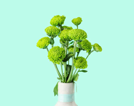 Vase with green chrysanthemum flowers on color background, closeupの写真素材