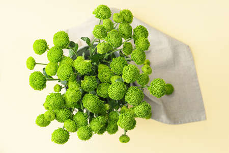 Bouquet of green chrysanthemum on color backgroundの写真素材
