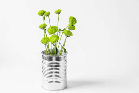 Tin can with green chrysanthemum flowers on white backgroundの写真素材