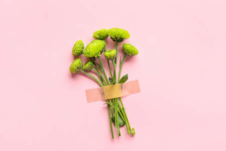 Green chrysanthemum flowers and medical patch on pink background