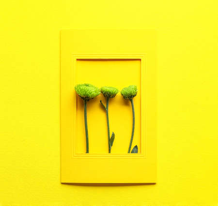 Composition with greeting card and green chrysanthemum flowers on yellow backgroundの写真素材